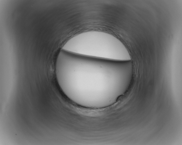 X0000112420040200908141054