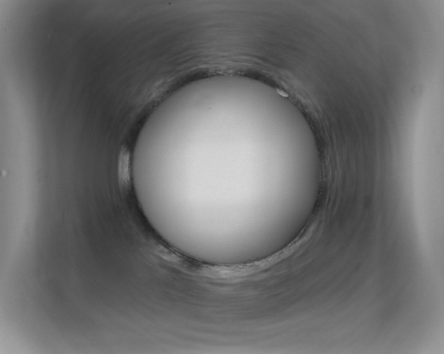 X0000112420041200908141054