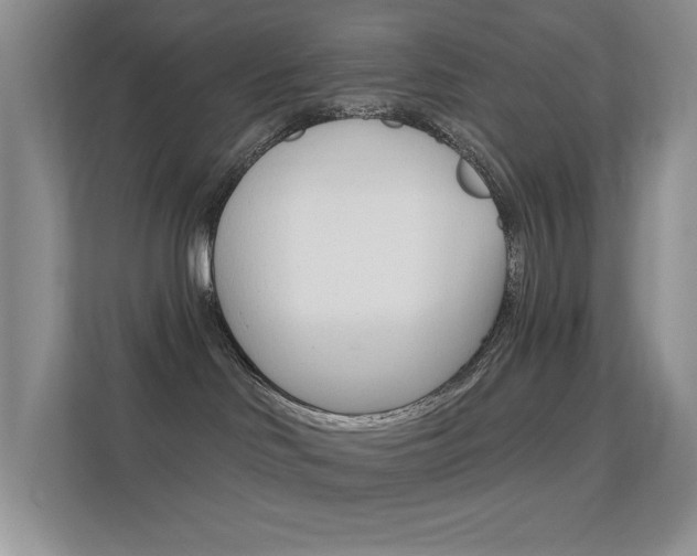 X0000112420046200908141054