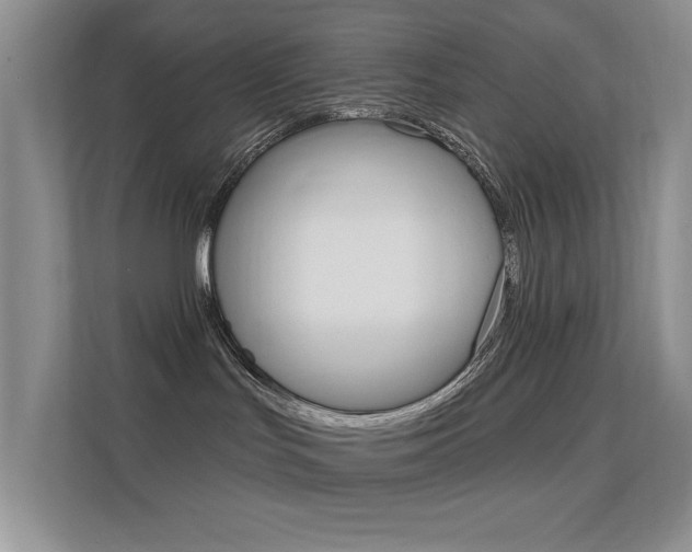 X0000112420047200908141054