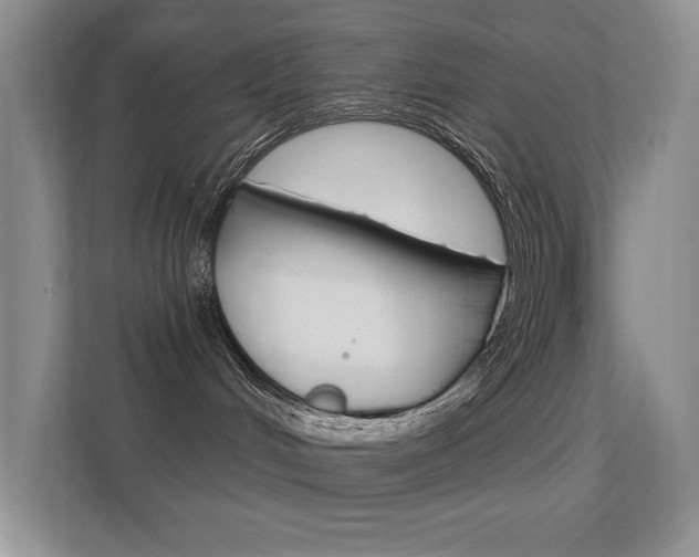 X0000112420048200908141054