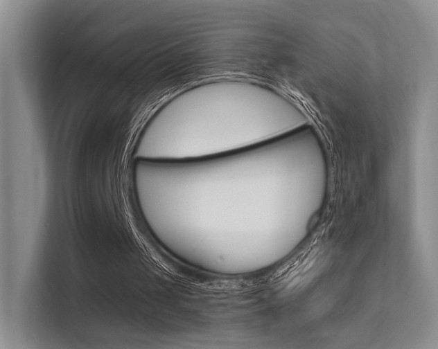 X0000112420049200908141053