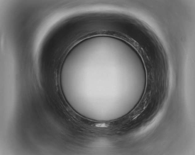 X0000112420050200908141053