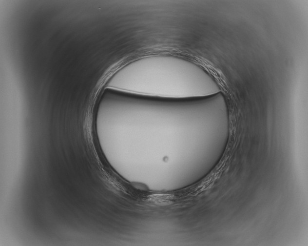 X0000112420051200908141053