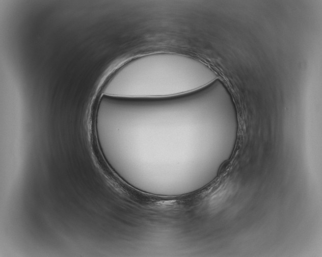 X0000112420054200908141054