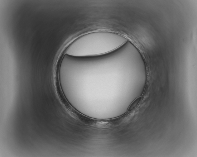 X0000112420055200908141054
