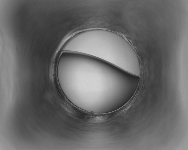 X0000112420056200908141054