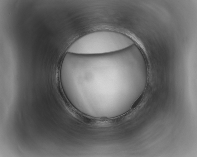 X0000112420057200908141054