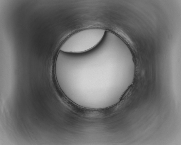 X0000112420058200908141054