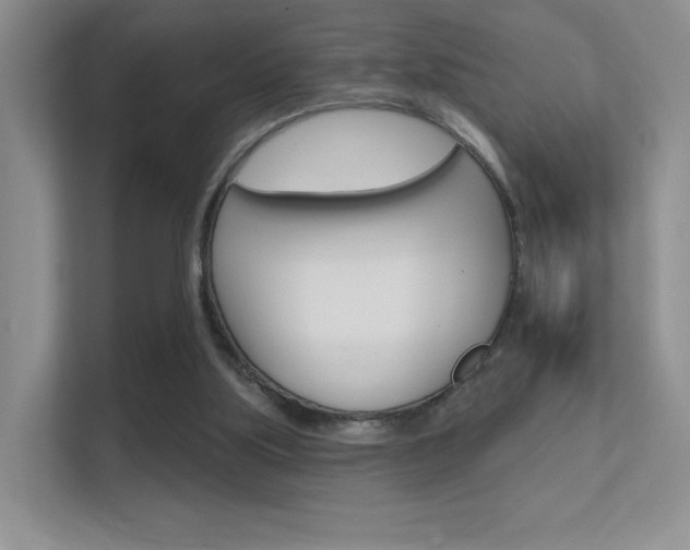 X0000112420059200908141054