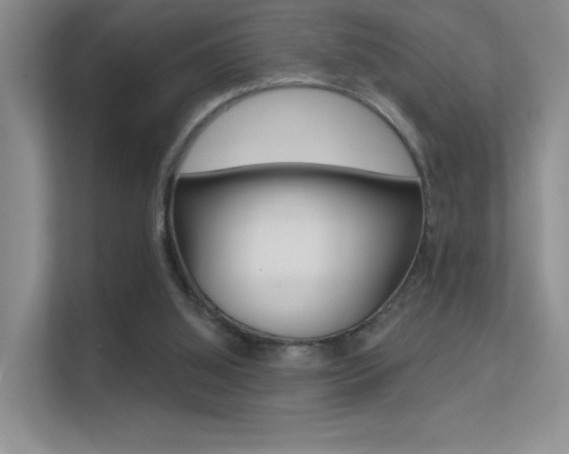 X0000112420060200908141054