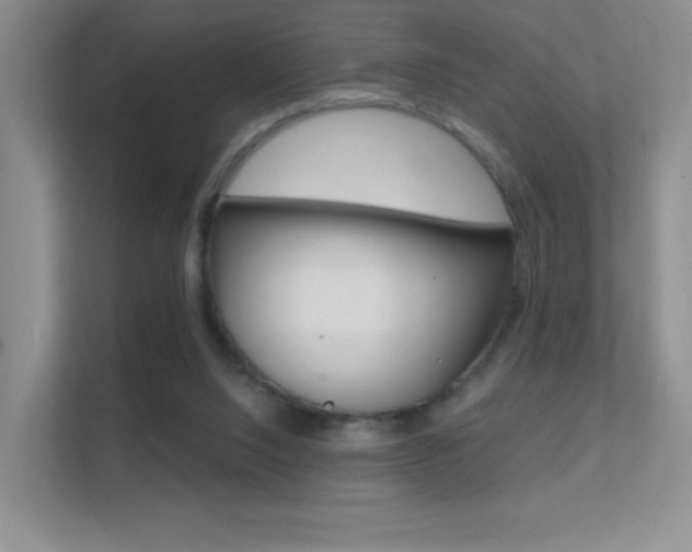 X0000112420064200908141054