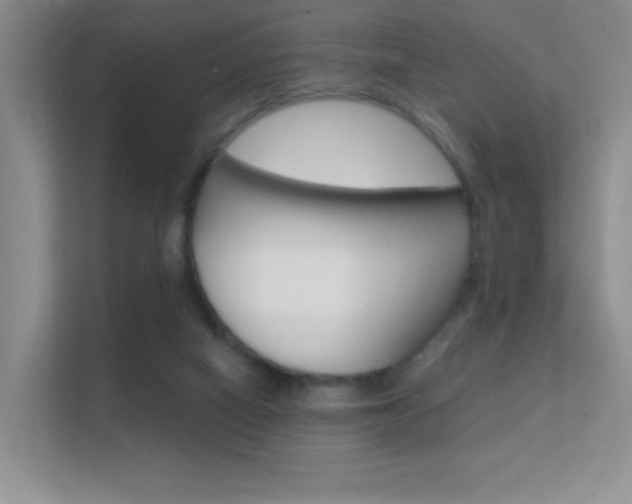 X0000112420066200908141054