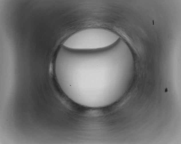 X0000112420067200908141054