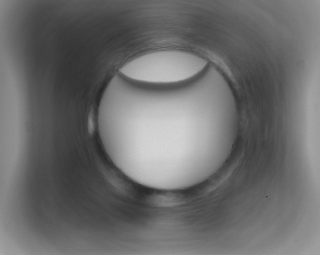 X0000112420069200908141054