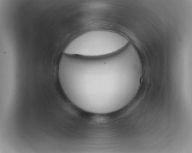 X0000112420073200908141054