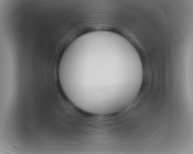 X0000112420074200908141054