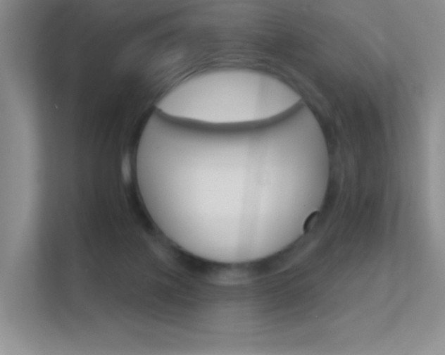 X0000112420075200908141054