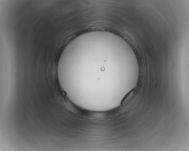 X0000112420081200908141054