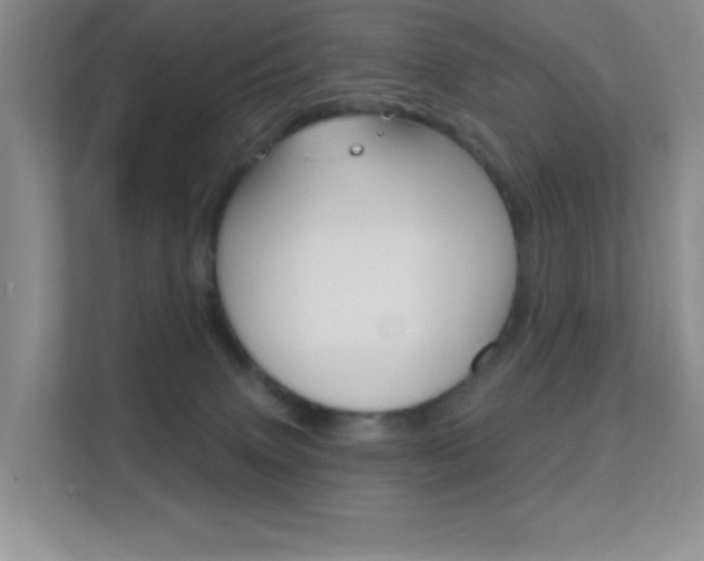 X0000112420083200908141054
