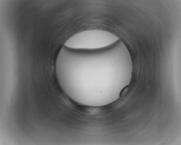 X0000112420085200908141054