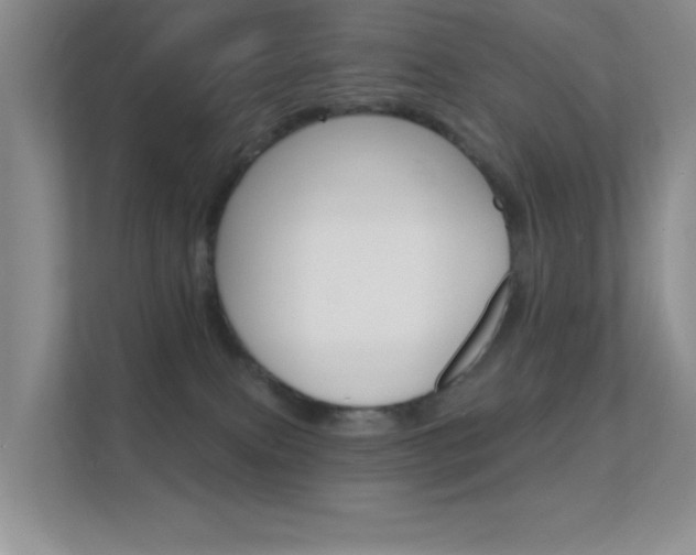 X0000112420087200908141054