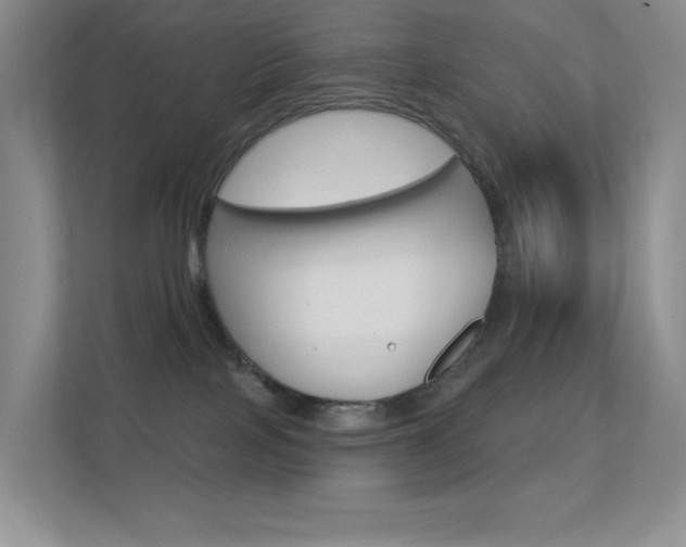 X0000112420089200908141054