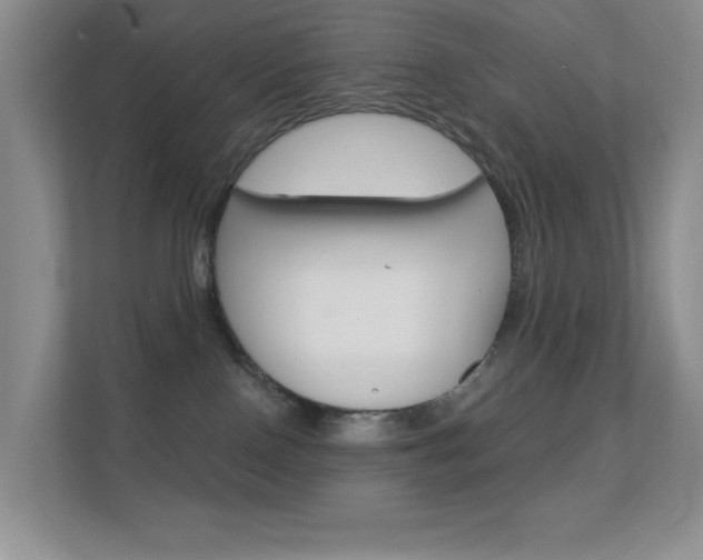 X0000112420090200908141054
