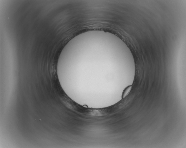 X0000112420091200908141054