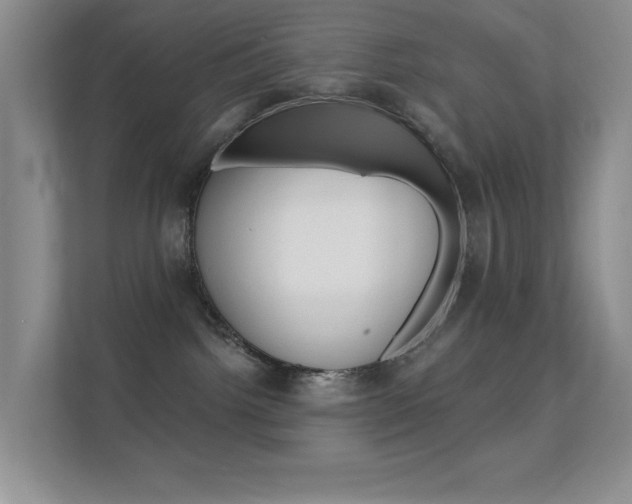 X0000112420092200908141054