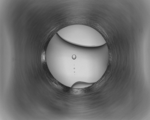 X0000112420095200908141054