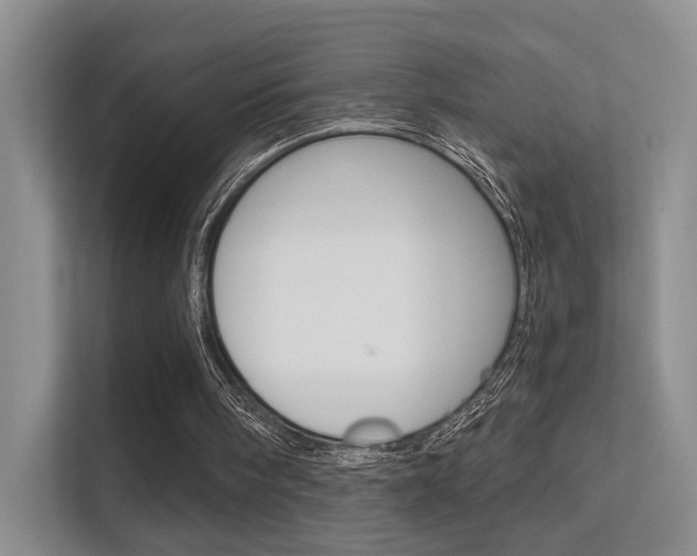 X0000112420098200908141053