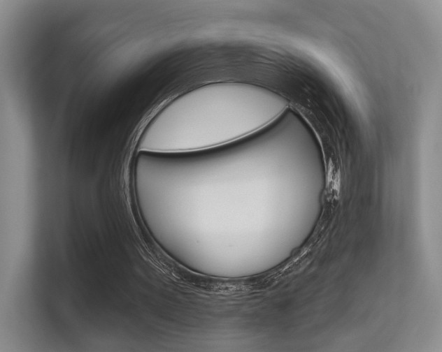 X0000112420099200908141053