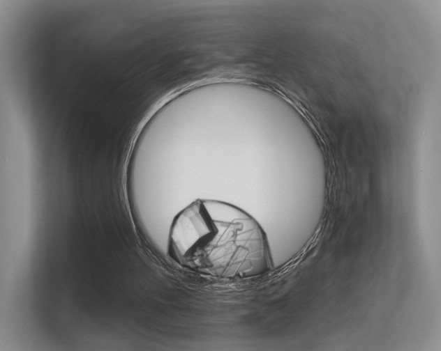 X0000112420100200908141053