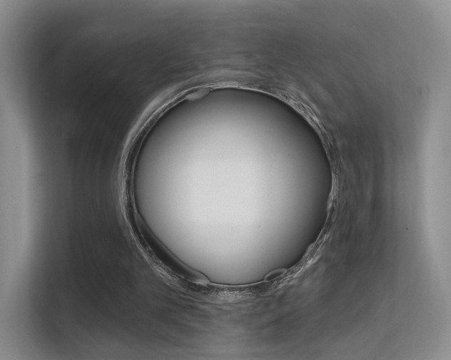 X0000112420101200908141053