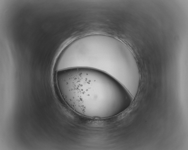 X0000112420104200908141053
