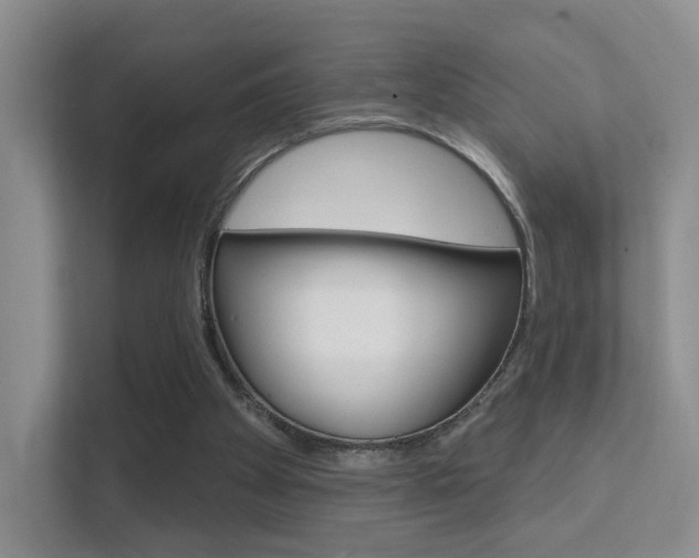 X0000112420105200908141053