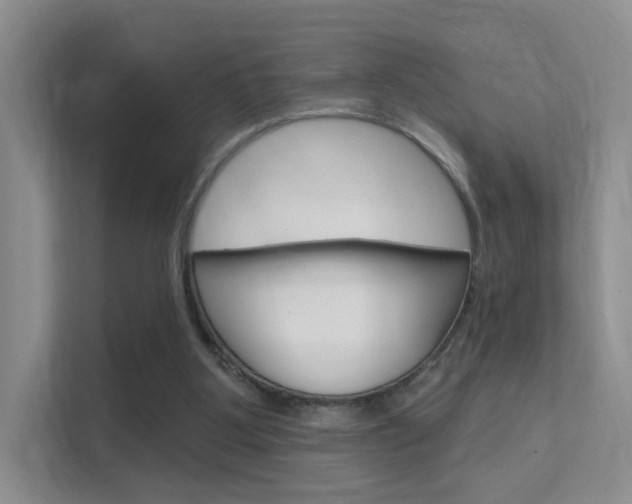 X0000112420107200908141053