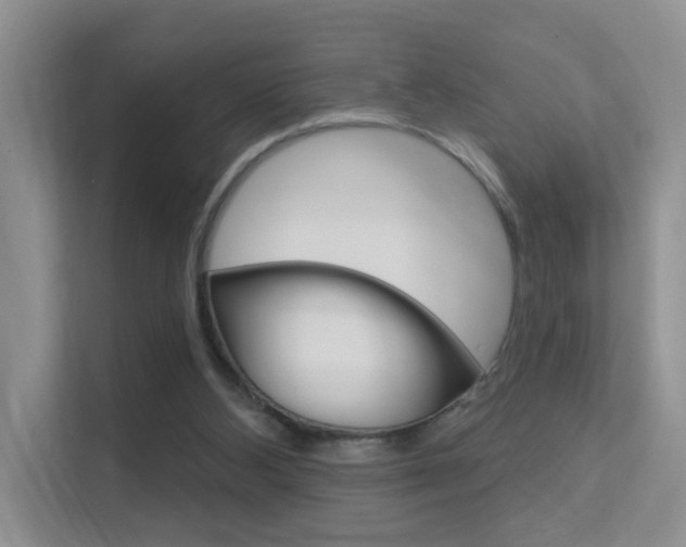 X0000112420108200908141053