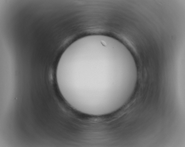 X0000112420115200908141053