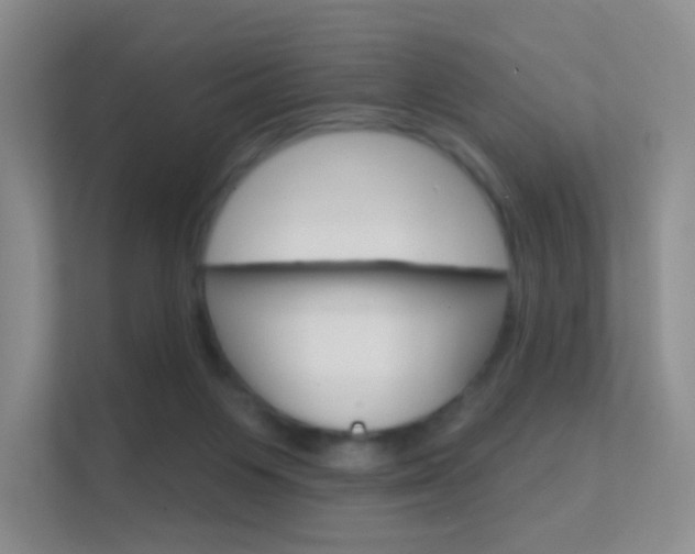 X0000112420119200908141053