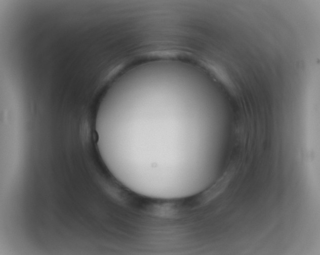 X0000112420120200908141053