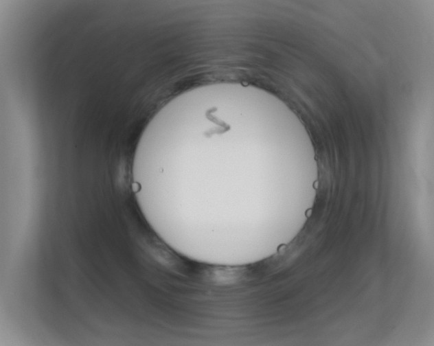 X0000112420134200908141053