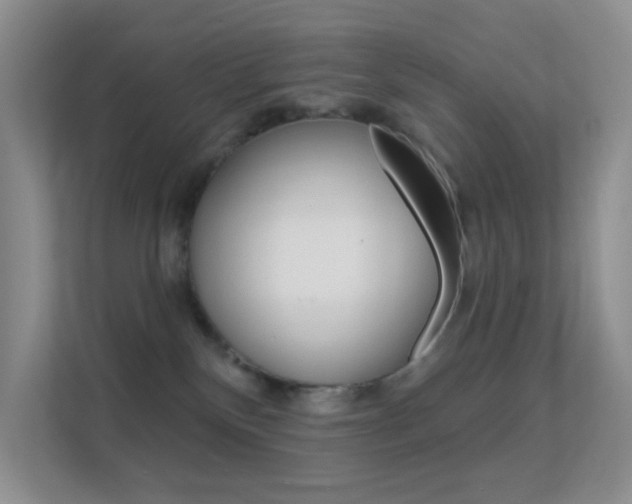 X0000112420136200908141053