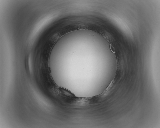 X0000112420140200908141053
