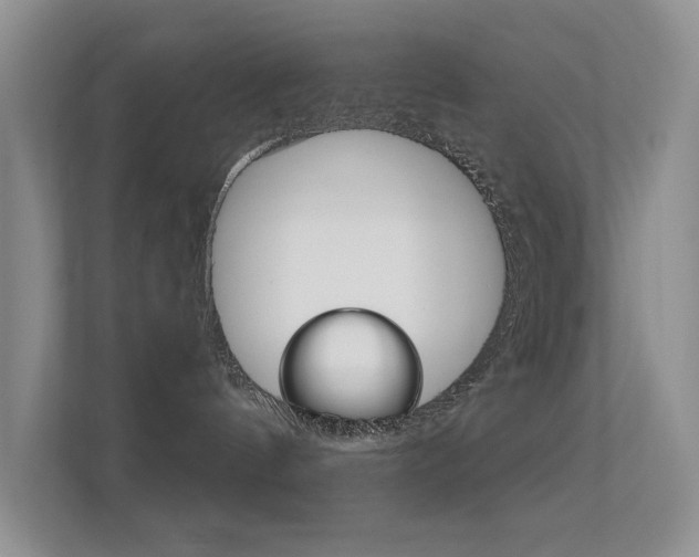 X0000112420144200908141053