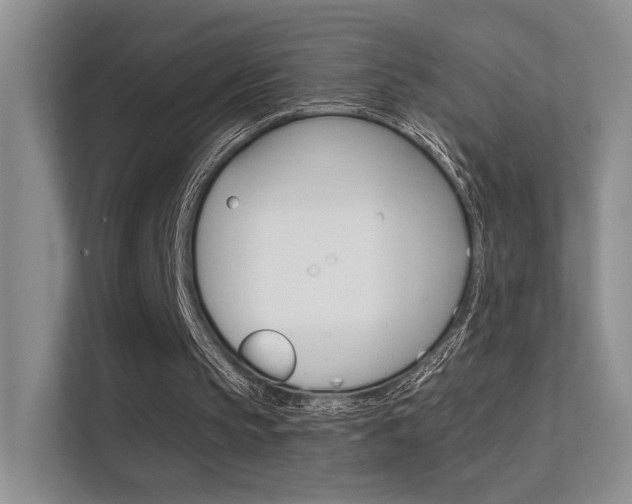 X0000112420145200908141052