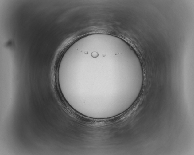 X0000112420149200908141052