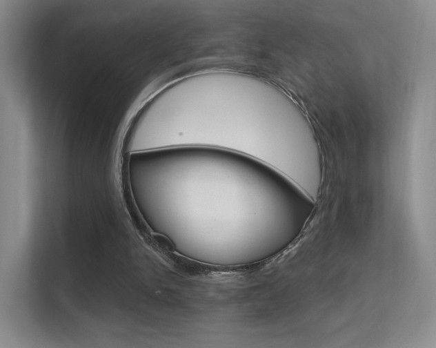 X0000112420150200908141052