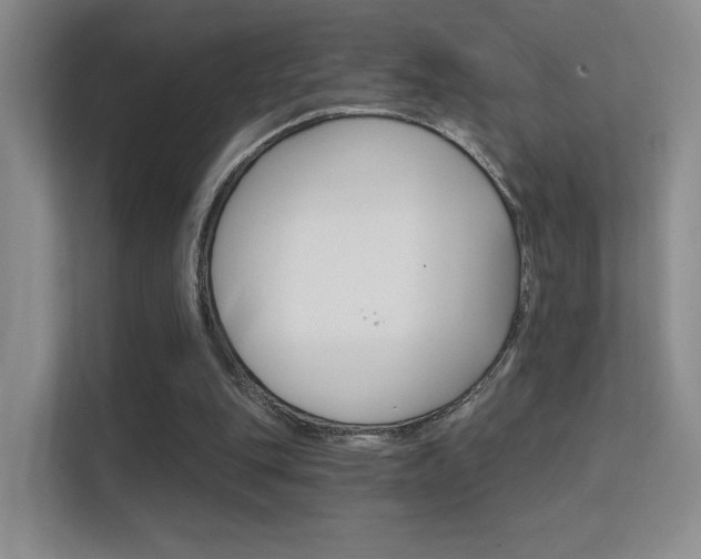 X0000112420151200908141052